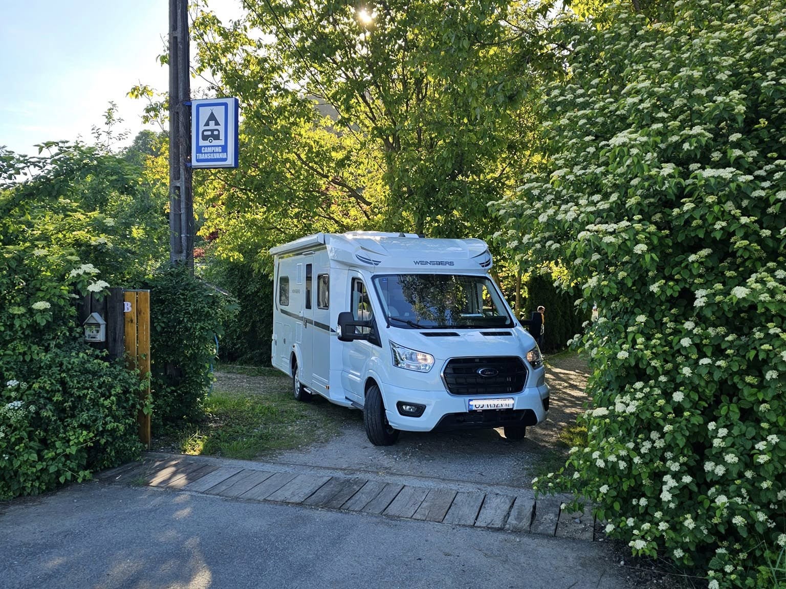 Evening camp